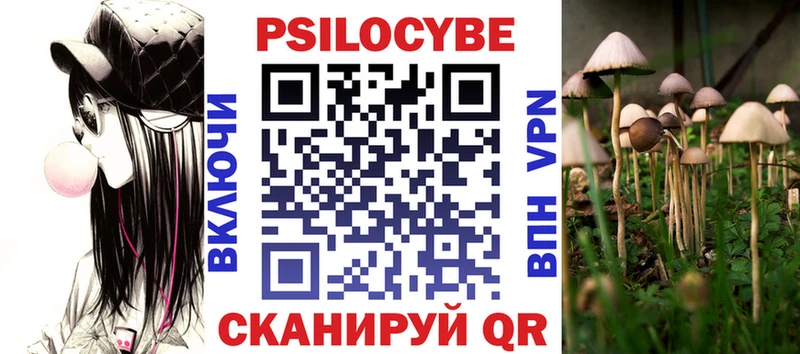 Купить  Армянск  Псилоцибиновые грибы Psilocybine cubensis 